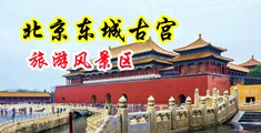 我操大屁股奇虎视频中国北京-东城古宫旅游风景区